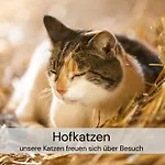 アパート Mit Sauna Und 2 Kaminen - Hexenburg Bei Dresden *