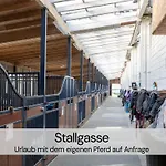 Mit Sauna Und 2 Kaminen - Hexenburg Bei Dresden *