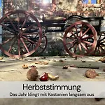 Mit Sauna Und 2 Kaminen - Hexenburg Bei Dresden * Großharthau