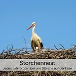 アパート Mit Sauna Und 2 Kaminen - Hexenburg Bei Dresden *