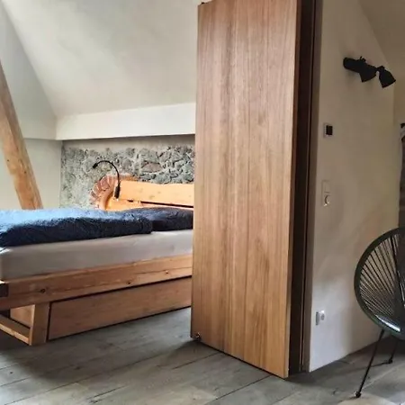 Apartment Lichtdurchflutete Architektenwohnung Mit Eigener Sauna Und Kamin - Hexenburg Bei Dresden