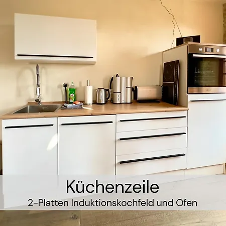 Exklusive Galeriewohnung Mit Privatsauna Und 2 Kaminen Großharthau