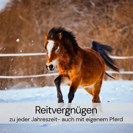 Hexenburgbeidresden 3 Architektengaleriewohnung Mit Eigener Sauna, 2 Kaminen - Naehe Saechsische Schweiz Dresden Lejlighed