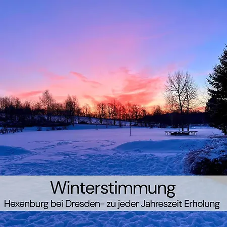 Lejlighed Hexenburgbeidresden 3 Architektengaleriewohnung Mit Eigener Sauna, 2 Kaminen - Naehe Saechsische Schweiz Dresden