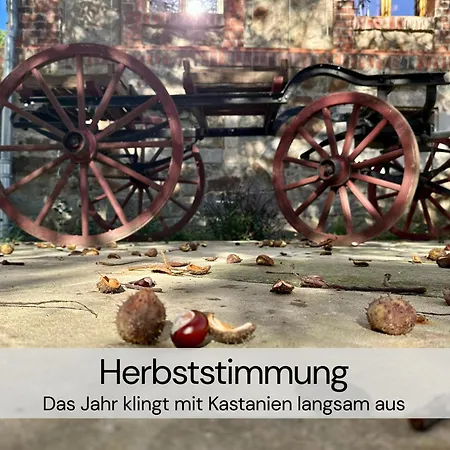 Exklusive Galeriewohnung Mit Privatsauna Und 2 Kaminen * Großharthau