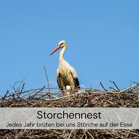 Lejlighed Hexenburgbeidresden 3 Architektengaleriewohnung Mit Eigener Sauna, 2 Kaminen - Naehe Saechsische Schweiz Dresden *