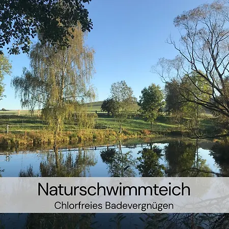 アパート Mit Sauna Und 2 Kaminen - Hexenburg Bei Dresden *