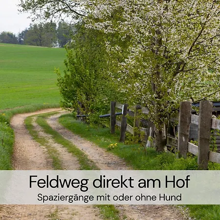 Mit Sauna Und 2 Kaminen - Hexenburg Bei Dresden アパート Großharthau