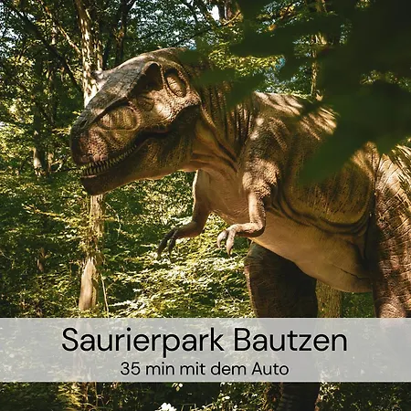 Lejlighed Hexenburgbeidresden 3 Architektengaleriewohnung Mit Eigener Sauna, 2 Kaminen - Naehe Saechsische Schweiz Dresden Großharthau