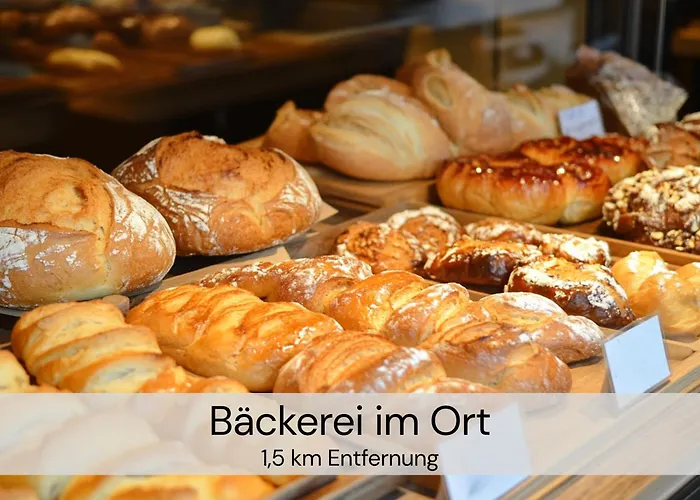 Hexenburgbeidresden 3 Architektengaleriewohnung Mit Eigener Sauna, 2 Kaminen - Naehe Saechsische Schweiz Dresden *