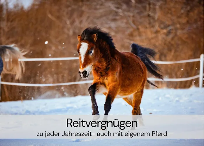 Hexenburgbeidresden 3 Architektengaleriewohnung Mit Eigener Sauna, 2 Kaminen - Naehe Saechsische Schweiz Dresden アパート