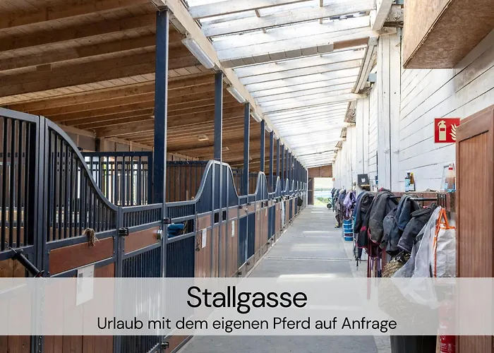 Hexenburgbeidresden 3 Architektengaleriewohnung Mit Eigener Sauna, 2 Kaminen - Naehe Saechsische Schweiz Dresden *