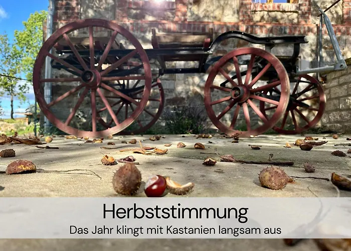 Hexenburgbeidresden 3 Architektengaleriewohnung Mit Eigener Sauna, 2 Kaminen - Naehe Saechsische Schweiz Dresden * Großharthau