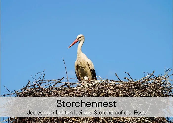 アパート Hexenburgbeidresden 3 Architektengaleriewohnung Mit Eigener Sauna, 2 Kaminen - Naehe Saechsische Schweiz Dresden *