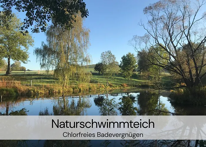 アパート Hexenburgbeidresden 3 Architektengaleriewohnung Mit Eigener Sauna, 2 Kaminen - Naehe Saechsische Schweiz Dresden *