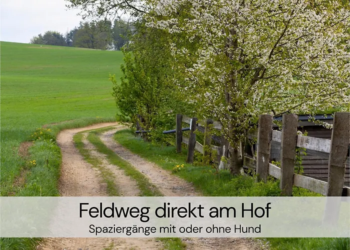 Hexenburgbeidresden 3 Architektengaleriewohnung Mit Eigener Sauna, 2 Kaminen - Naehe Saechsische Schweiz Dresden アパート Großharthau